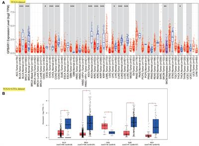 The role of <mark class="highlighted">TGR5</mark> as an onco-immunological biomarker in tumor staging and prognosis by encompassing the tumor microenvironment